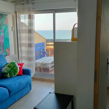 Appt T1 Bis, Terrasse Face Mer, Renove, Climatise *
